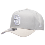 Gray/Silver