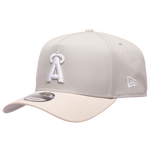 Gray/Silver