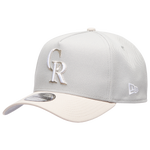 Silver/Gray