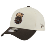 Chrome/Brown