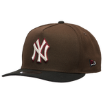 Brown/Black
