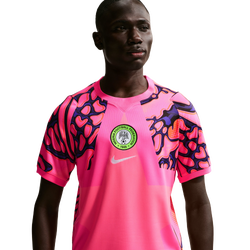 Pour hommes - Nike Maillot de gardien de but Coupe du monde Nigeria - Green/Hyper Pink