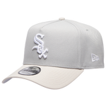 Gray/Silver