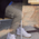 CSG Essential Cargo Pants  - Men's Tan