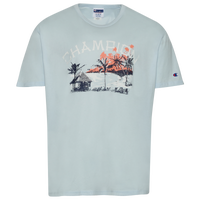 Champion Men's T-Shirt, Cotton Midweight Men's Crewneck Tee,t-Shirt for  Men, Script (Reg. Or Big & Tall)