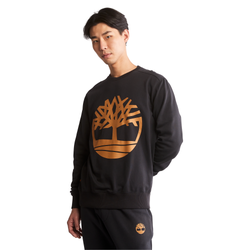 Champs sports sweatshirts online