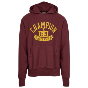 Champion hoodie best sale kids foot locker