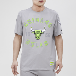 Men's - Pro Standard Bulls T-Shirt - Gray/Green