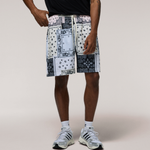 Patchwork/Paisley