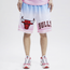 Pro Standard Bulls Ombre Shorts - Men's Multi
