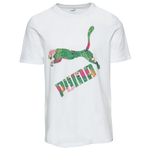 White/Multi