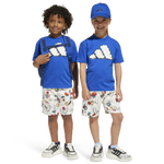 Team Royal/White/Black