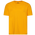 CSG Basic T-Shirt - Men's Gold/Gold