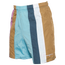 Champion NYL Stripe Shorts - Men's Blue/Green/Purple