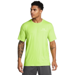 Morph Green/Morph Green