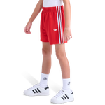 White/Scarlet