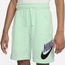 Nike Club HBR Shorts - Boys' Grade School Green/Purple