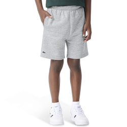 Boys' Grade School - Lacoste Core Fleece Short  - Green/Grey