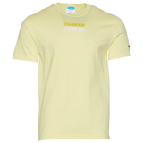 Yellow/Gray