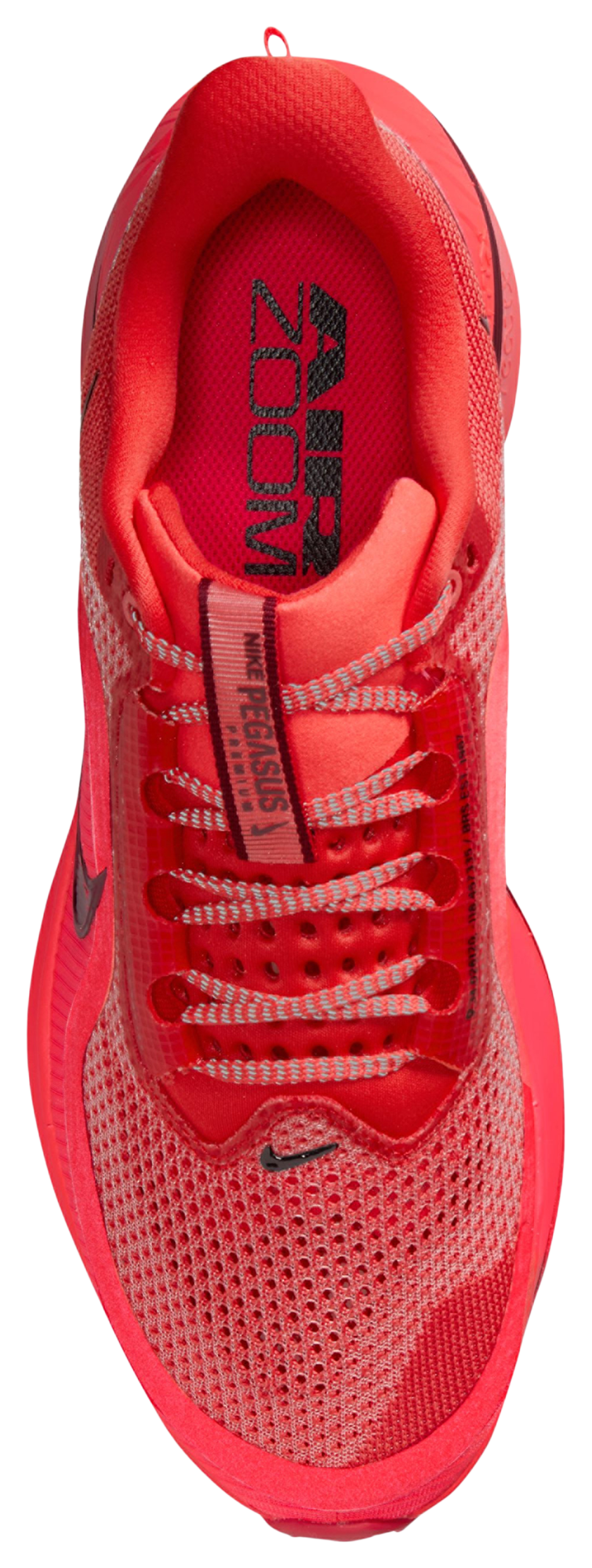 Nike Pegasus Premium  - Men's