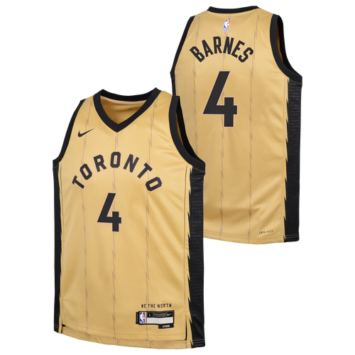 Toronto raptors nike city swingman jersey hotsell