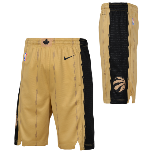 Nike raptors shorts online