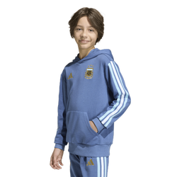 Boys' Grade School - adidas Argentina World Cup Away Hoodie  - Blue/Blue