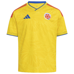 Boys' Grade School - adidas Argentina World Cup Home Jersey  - White/Blue