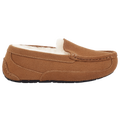 UGG Ascot - Ugg Chestnut Suede