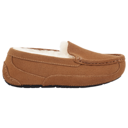 Girls' Grade School - UGG Ascot - Chestnut Suede