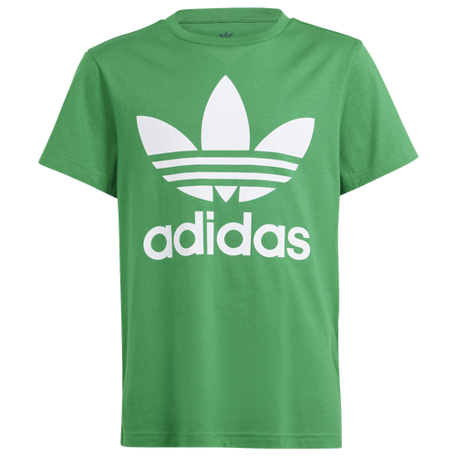 Adidas Originals Boy s Junior s Trefoil T Shirt Green Size Small