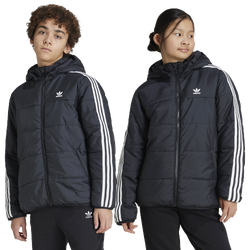 Boys' Grade School - adidas Originals Padded Jacket  - Black