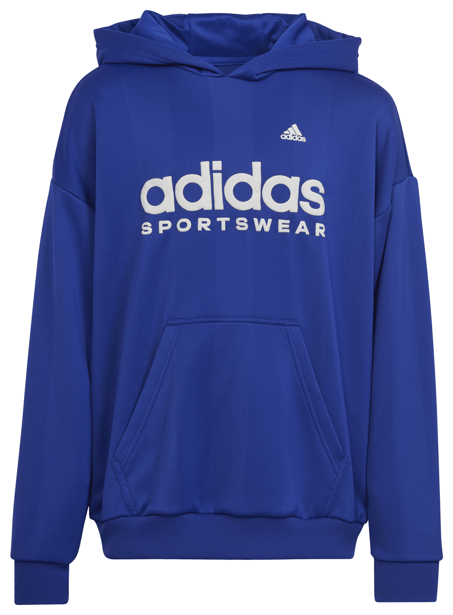 Boys blue hot sale adidas hoodie