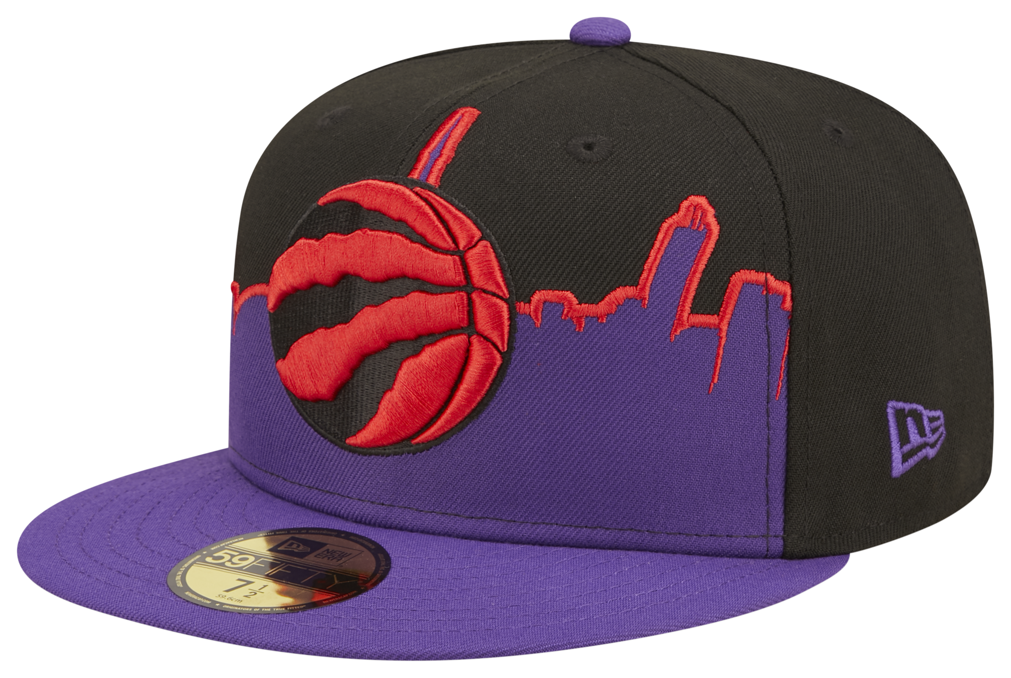 nike raptors hat