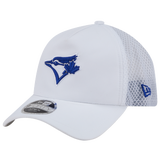 Blue/White