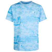 Blue/Multi