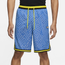 Nike Seasonal DNA Shorts - Men's Blue/Blue
