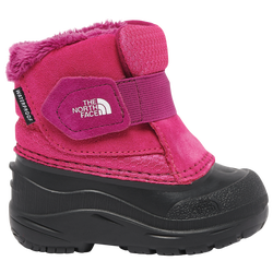 Girls' Toddler - The North Face Alpenglow II - Pink/Black