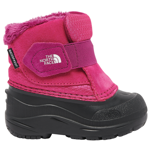 Shop The North Face Girls  Alpenglow Ii In Pink/black