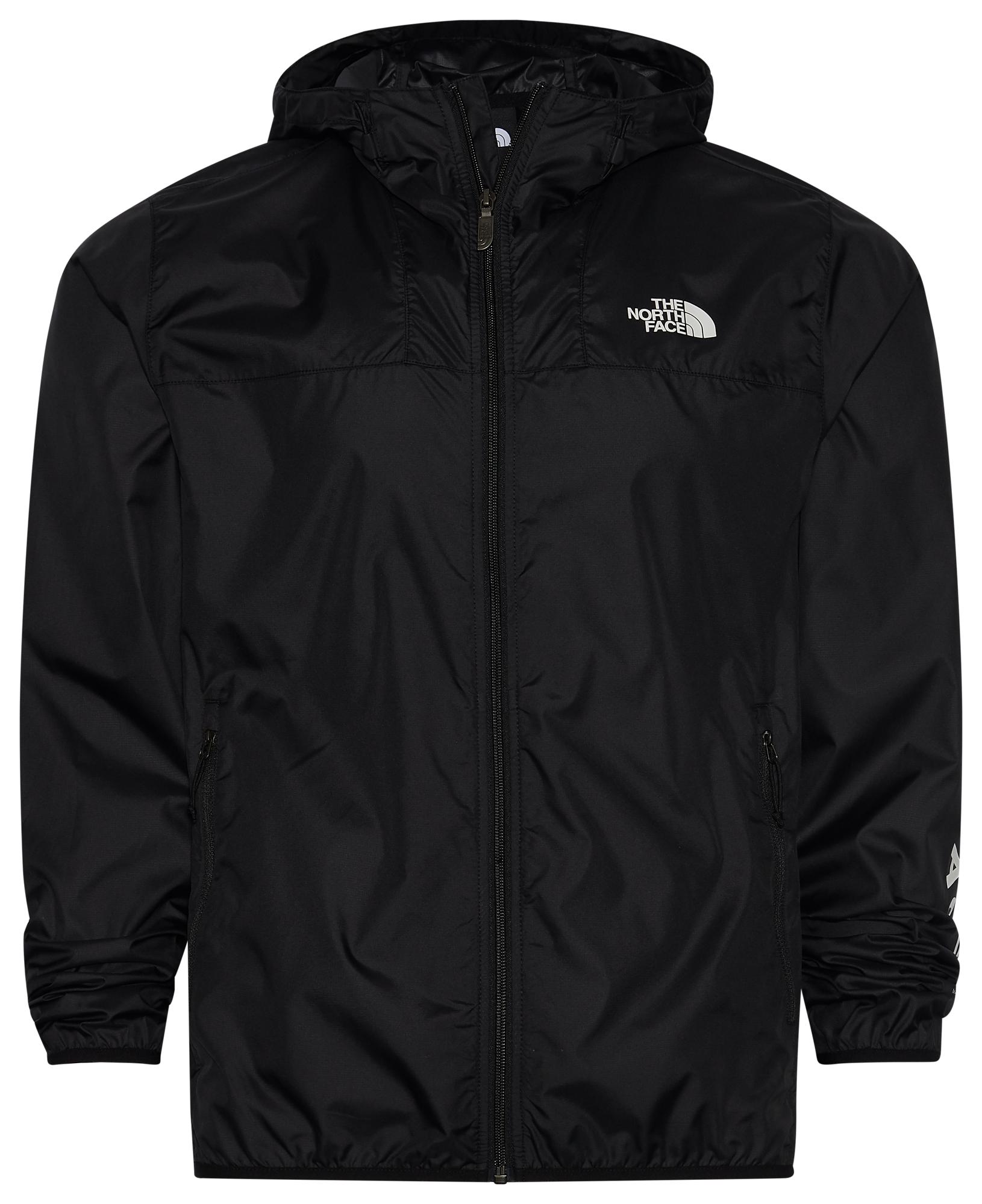 the north face cyclone 2.0