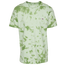 The North Face Botanic T-Shirt - Men's Sullivan Green Wash