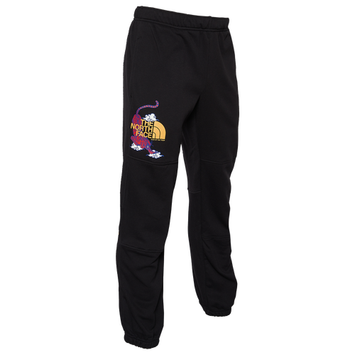 

The North Face Mens The North Face Half Dome Pants - Mens Black/No Color Size S
