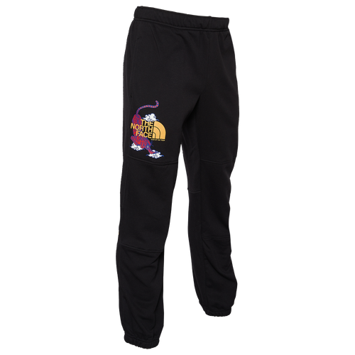 

The North Face Mens The North Face Half Dome Pants - Mens Black/No Color Size L