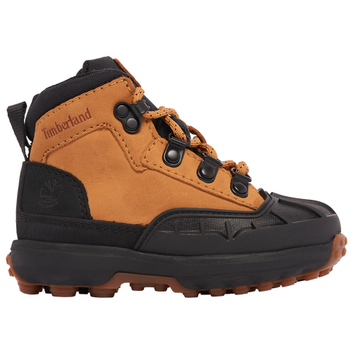 Shop Timberland Boys  Converge Shell Toe Boots In Black/wheat