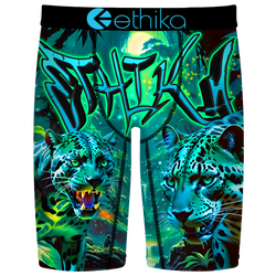 Boys' Grade School - Ethika Graphic Briefs - Green/Teal