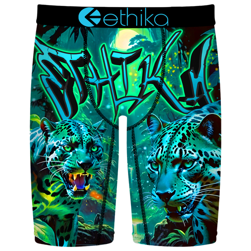 Ethika Boys   Graphic Briefs In Multi