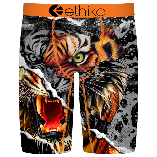Ethika Kids' Tiger Temper Boxer Briefs In Multi