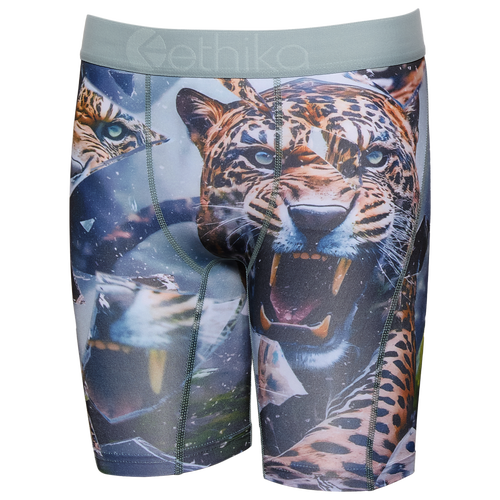 Ethika Boys   Graphic Briefs In Blue