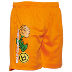 Orange/Orange