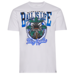 Blue/White